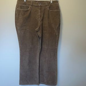 Sonoma stretch cords